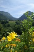 chambres d'hotes Dlices de Noix Bellevaux Haute-Savoie